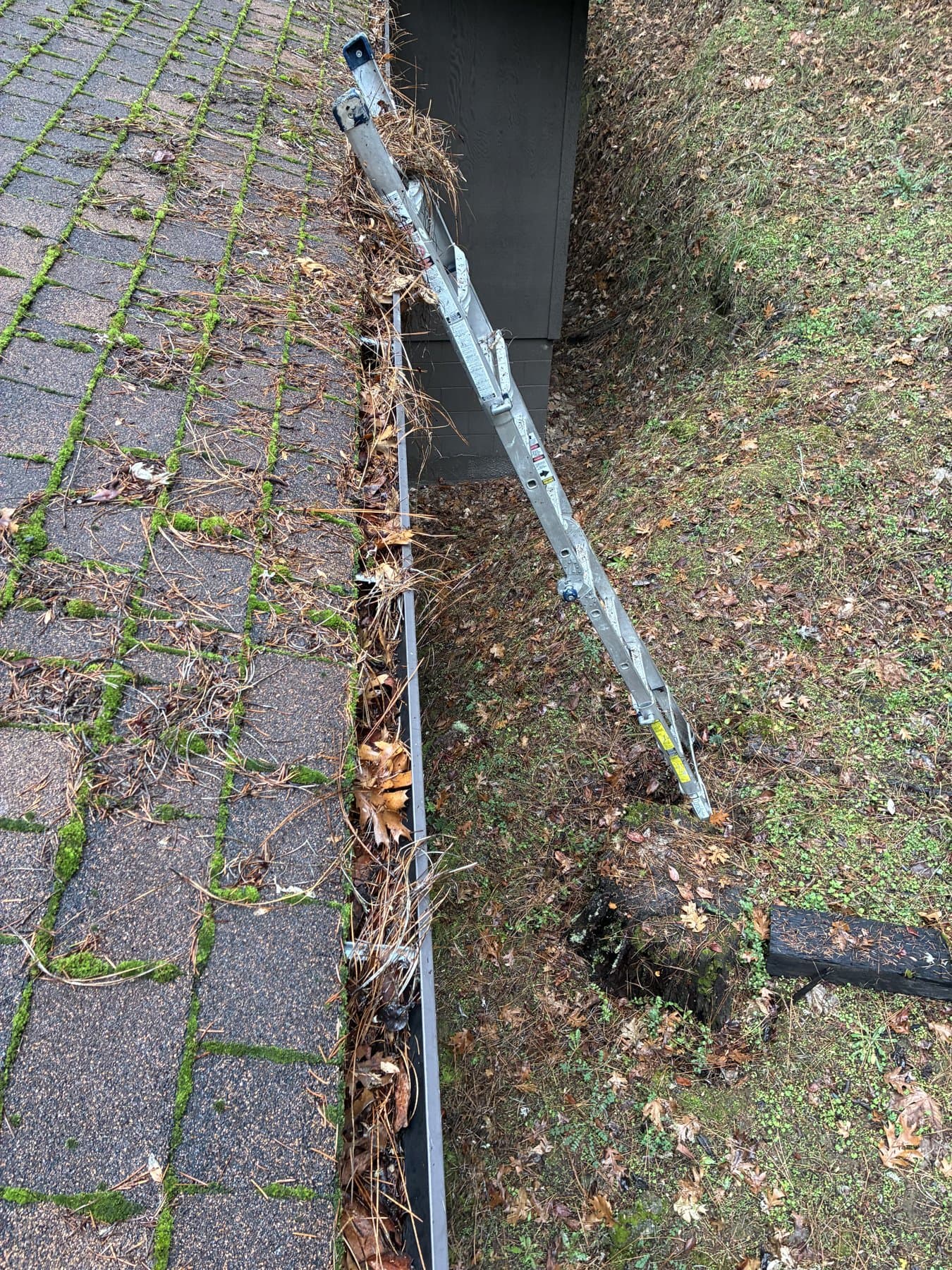 gutter cleaning 2 Before